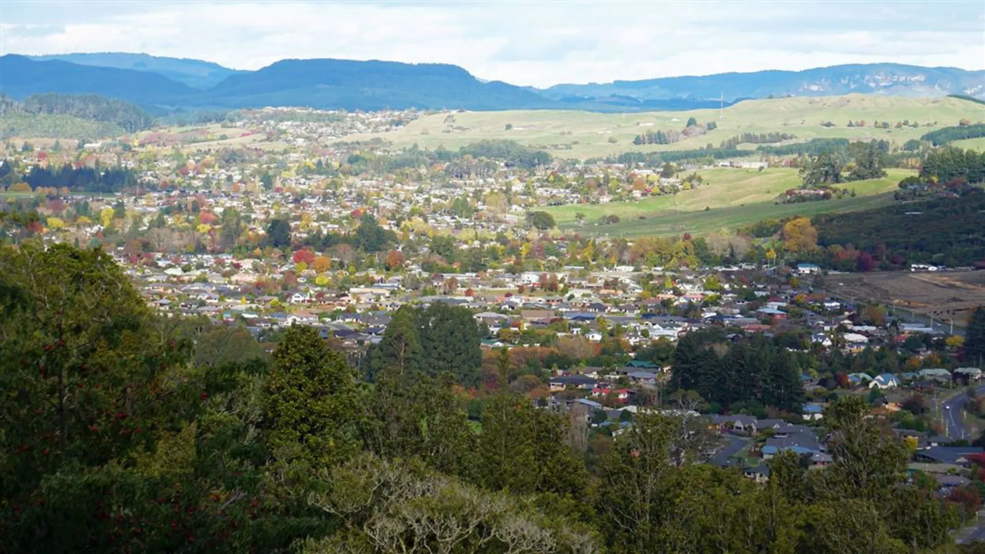 An image depicting the trail Mt Ngongotaha Nature Loop Track and its surrounding area.