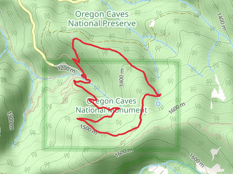 Big Tree Loop Trail