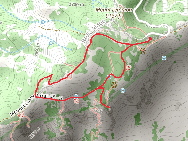 Meadow - Mount Lemmon Loop Trail
