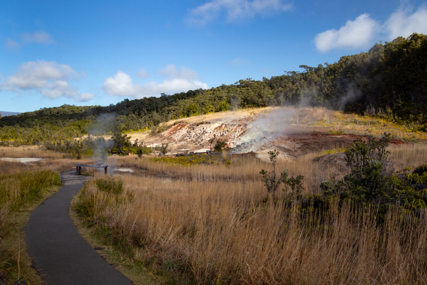 An image depicting the trail Halema'uma'u Trail and its surrounding area.