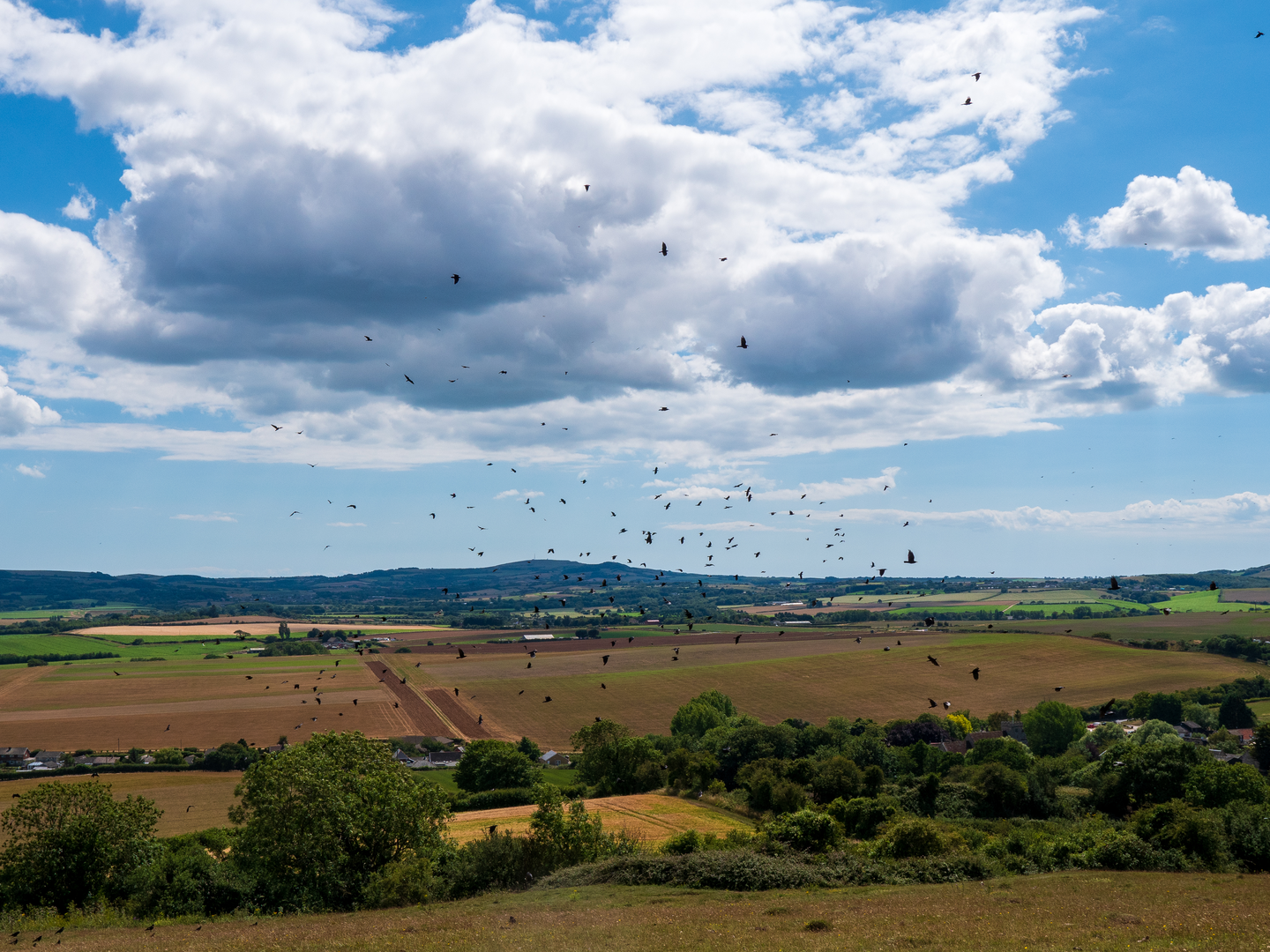 An image depicting the trail Bembridge Trail and its surrounding area.