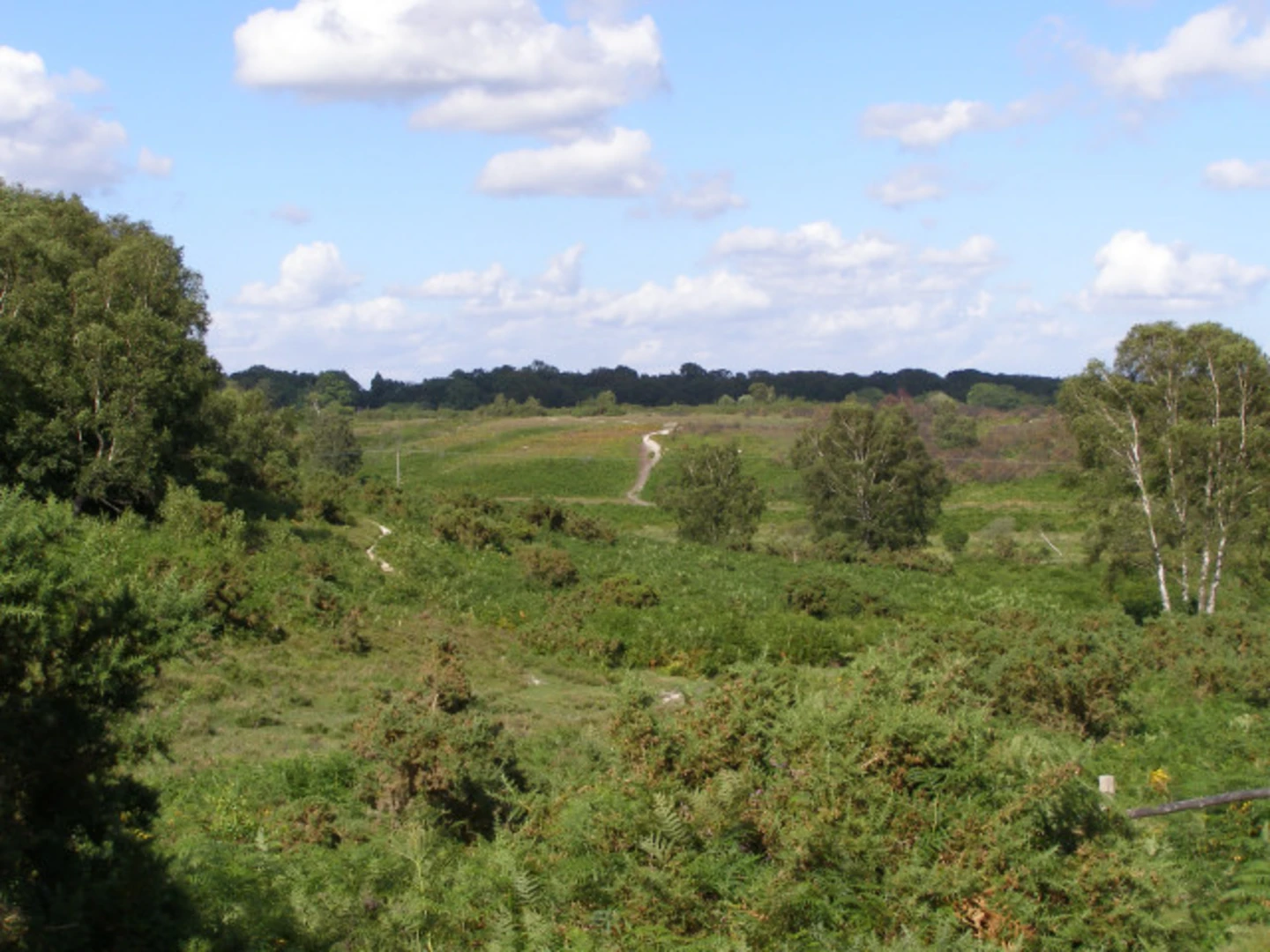 An image depicting the trail Shappen Hill and Burbush Hill via Southampton and Dorchester Railway and its surrounding area.