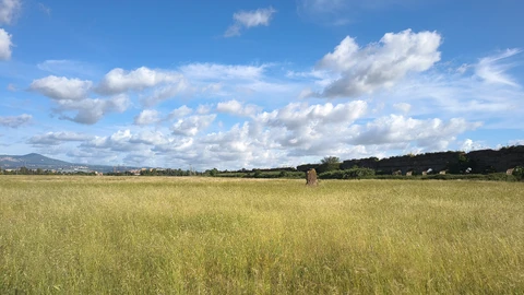 Parco degli acquedotti