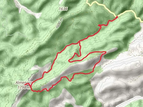 Old Yew Trail