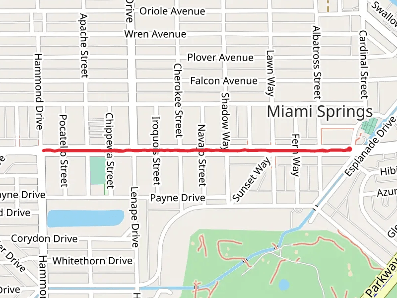 Westward Road Walk