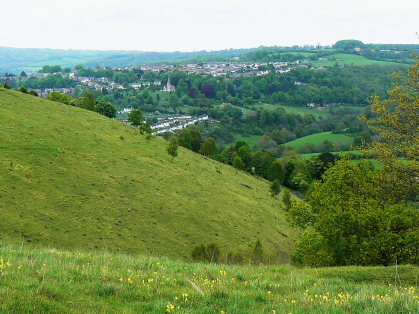 An image depicting the trail Rodborough Common Loop and its surrounding area.