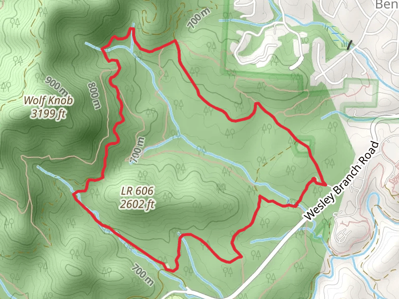 Rice Pinnacle and Ledford Branch Road Loop