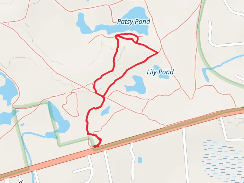 Patsy Pond Blue Loop Trail