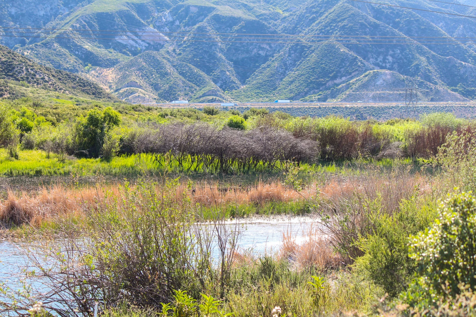 An image depicting the trail Sag Ponds Trail and Timber Ridge Road Loop and its surrounding area.