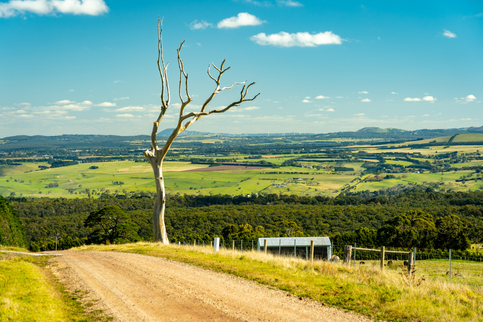 An image depicting the trail Bears Head Circuit and its surrounding area.