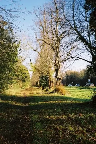 Maidenhead Thicket Loop