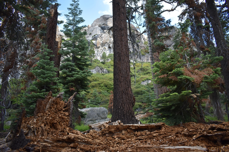 Cooper Meadow Trail