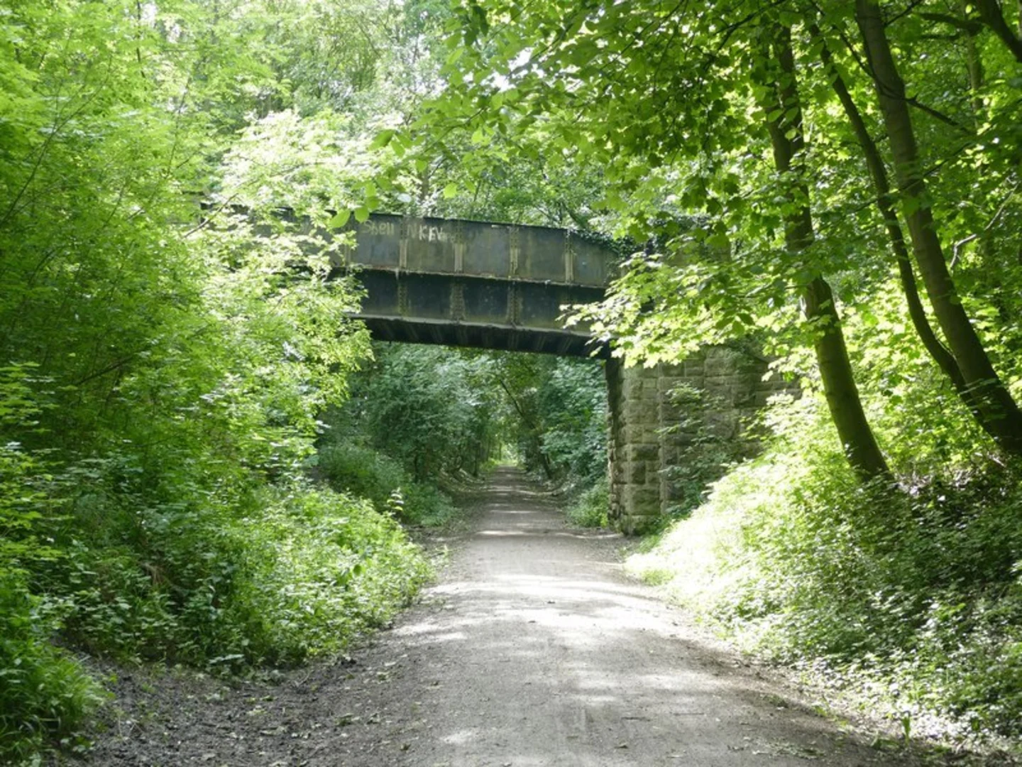 An image depicting the trail Teversal Loop Trail and its surrounding area.