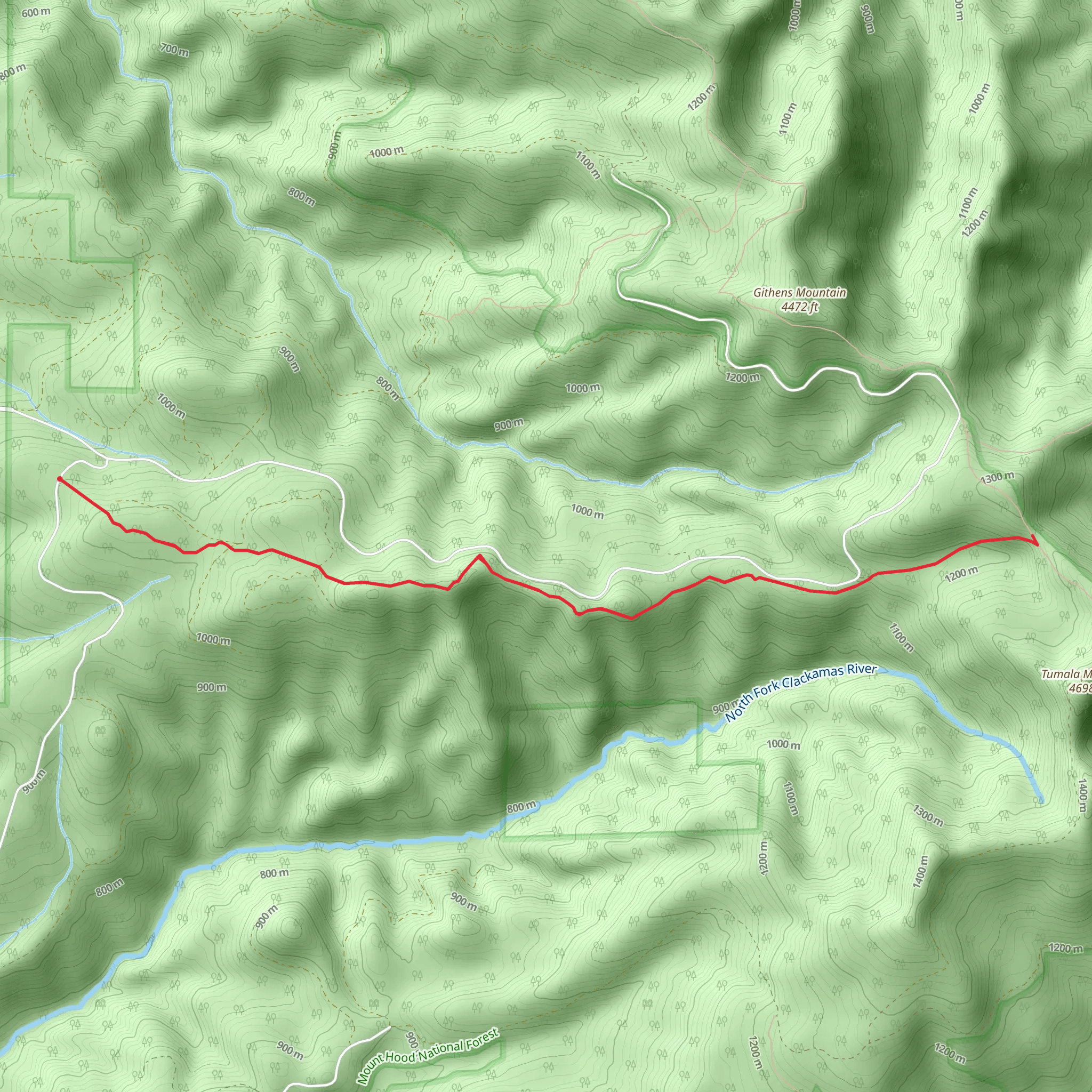 Fanton Trail - 505 mobile static map