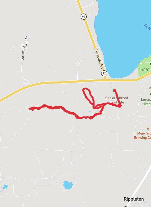 Hike on Cazenovia Preservation Trail mobile static map