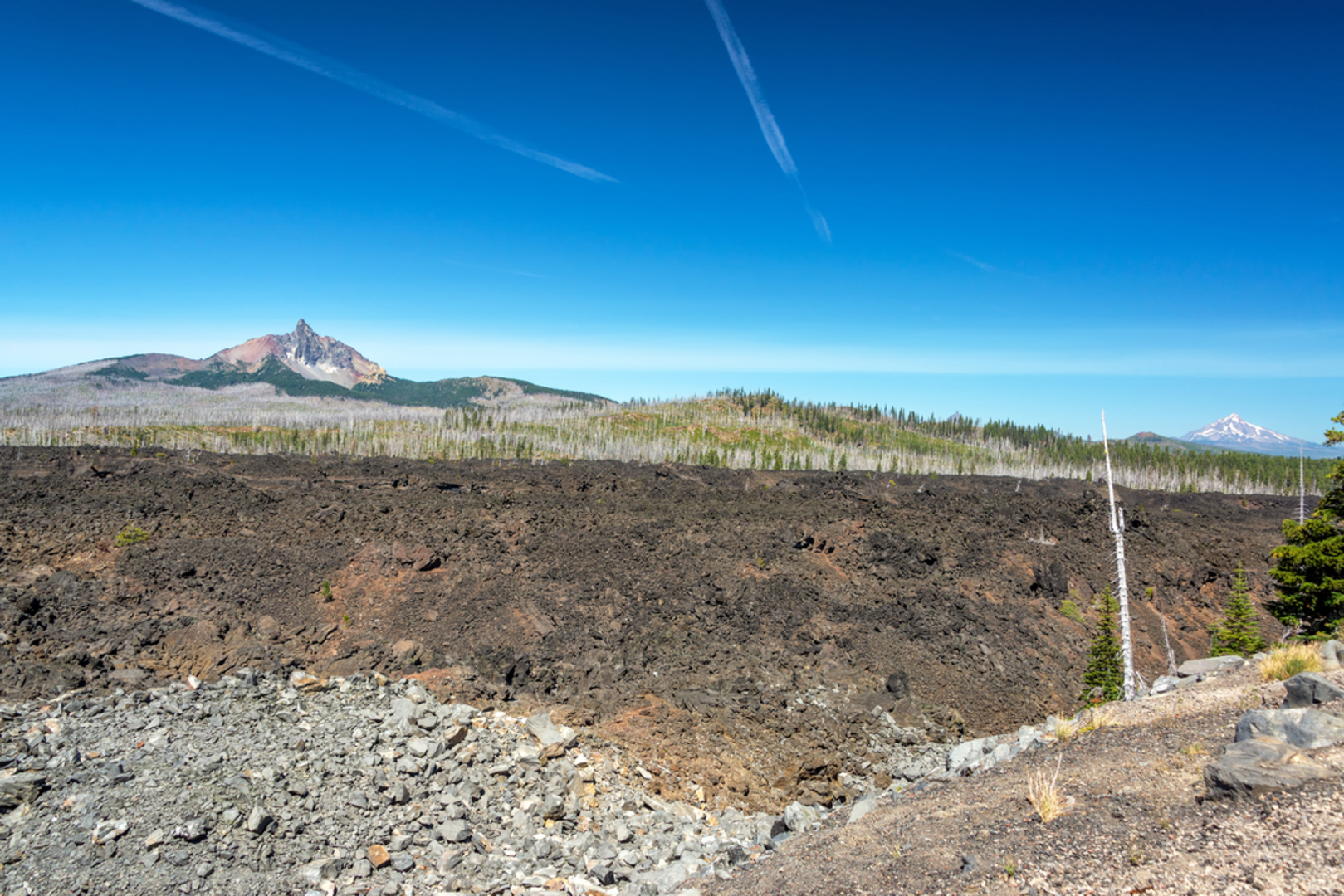 An image depicting the trail Scotty Way Trail and its surrounding area.