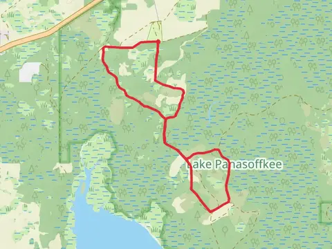 Little Jones Creek via Lake Panasoffkee Loop