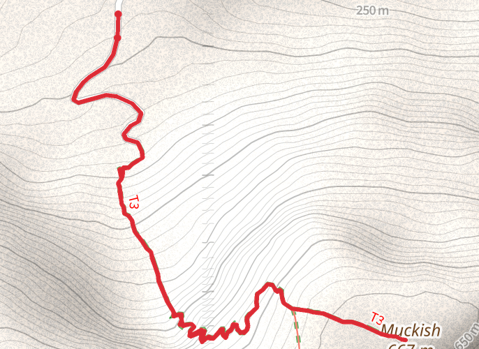 Completed hike thumbnail