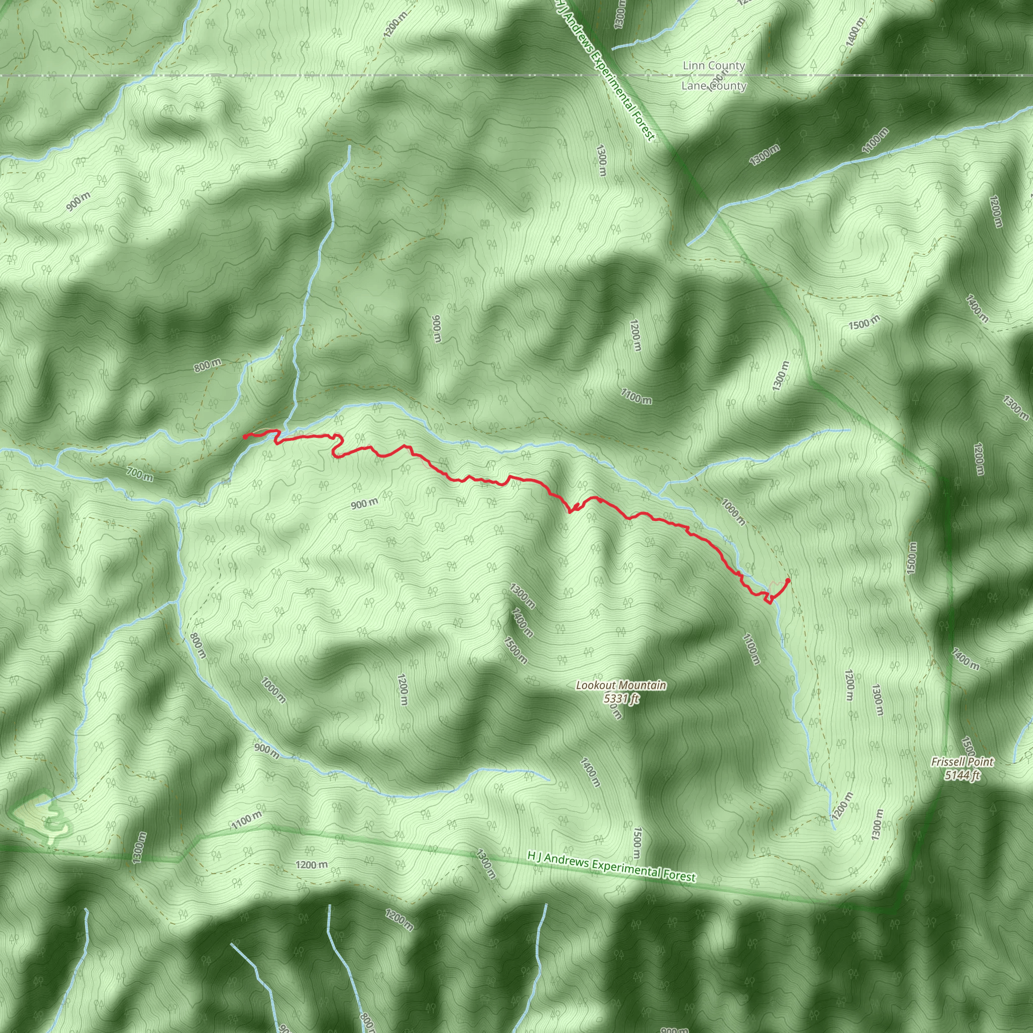 Lookout Creek Old Growth Trail mobile static map