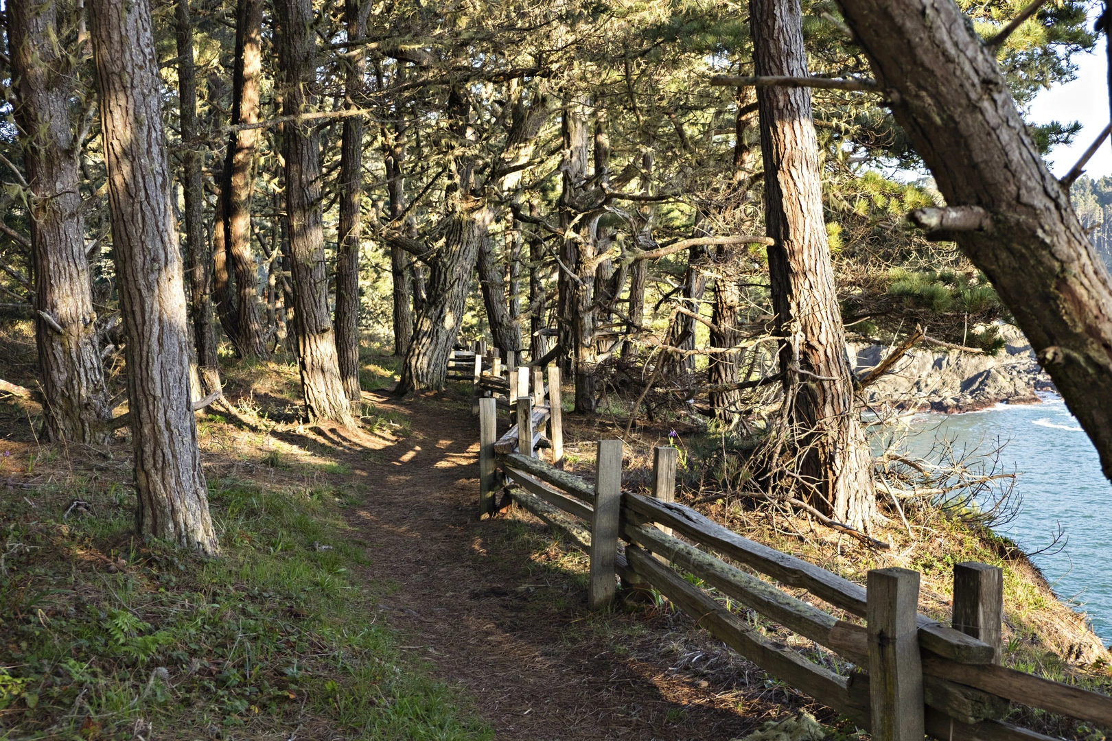An image depicting the trail Headlands Trail Loop and its surrounding area.