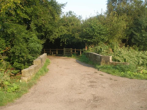 Alkrington Wood Loop
