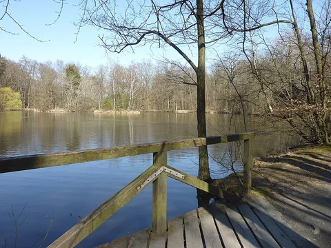 Luderbach and Maunzenweiher via Gruenguertelwanderweg