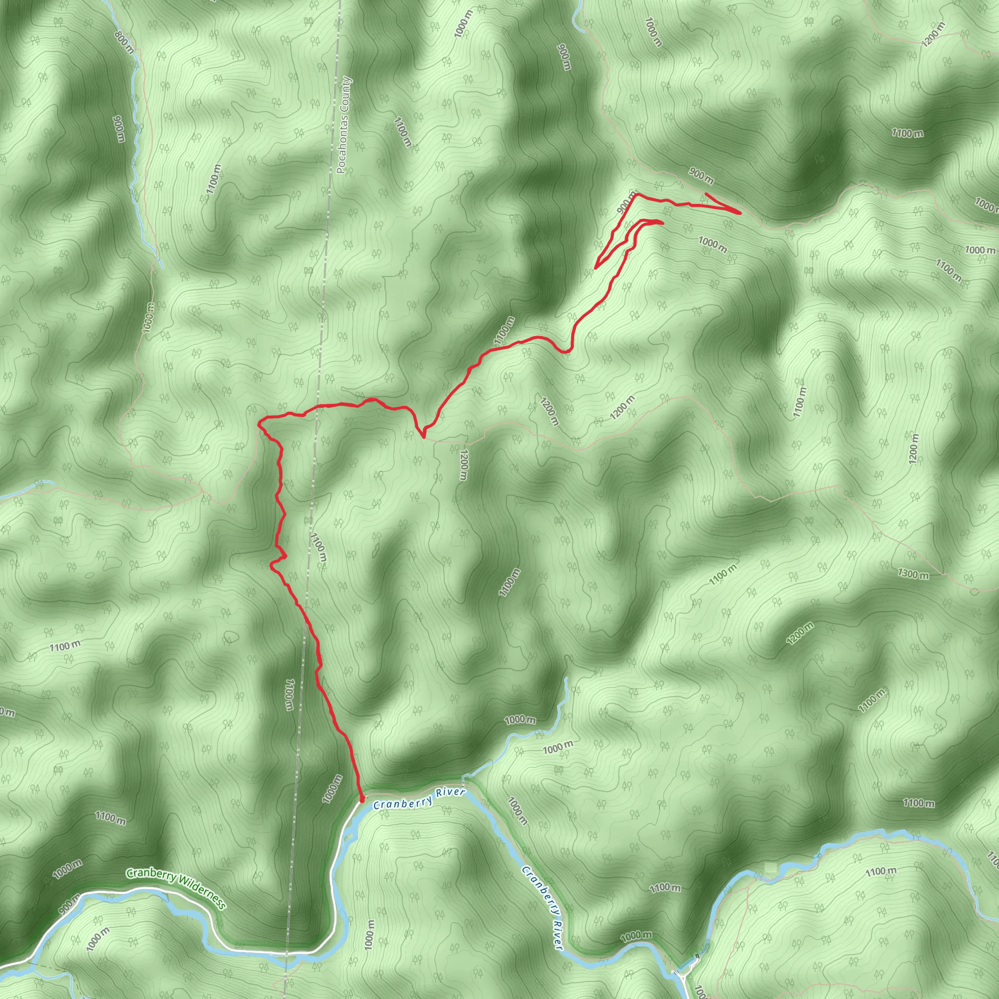 Laurelly Branch Trail via Birchlog Trail mobile static map
