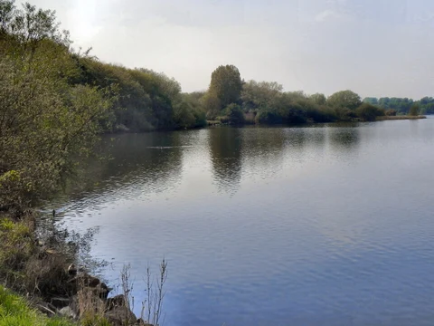 Leigh Loop