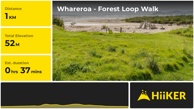 Whareroa - Forest Loop Walk | Kapiti Coast | New Zealand