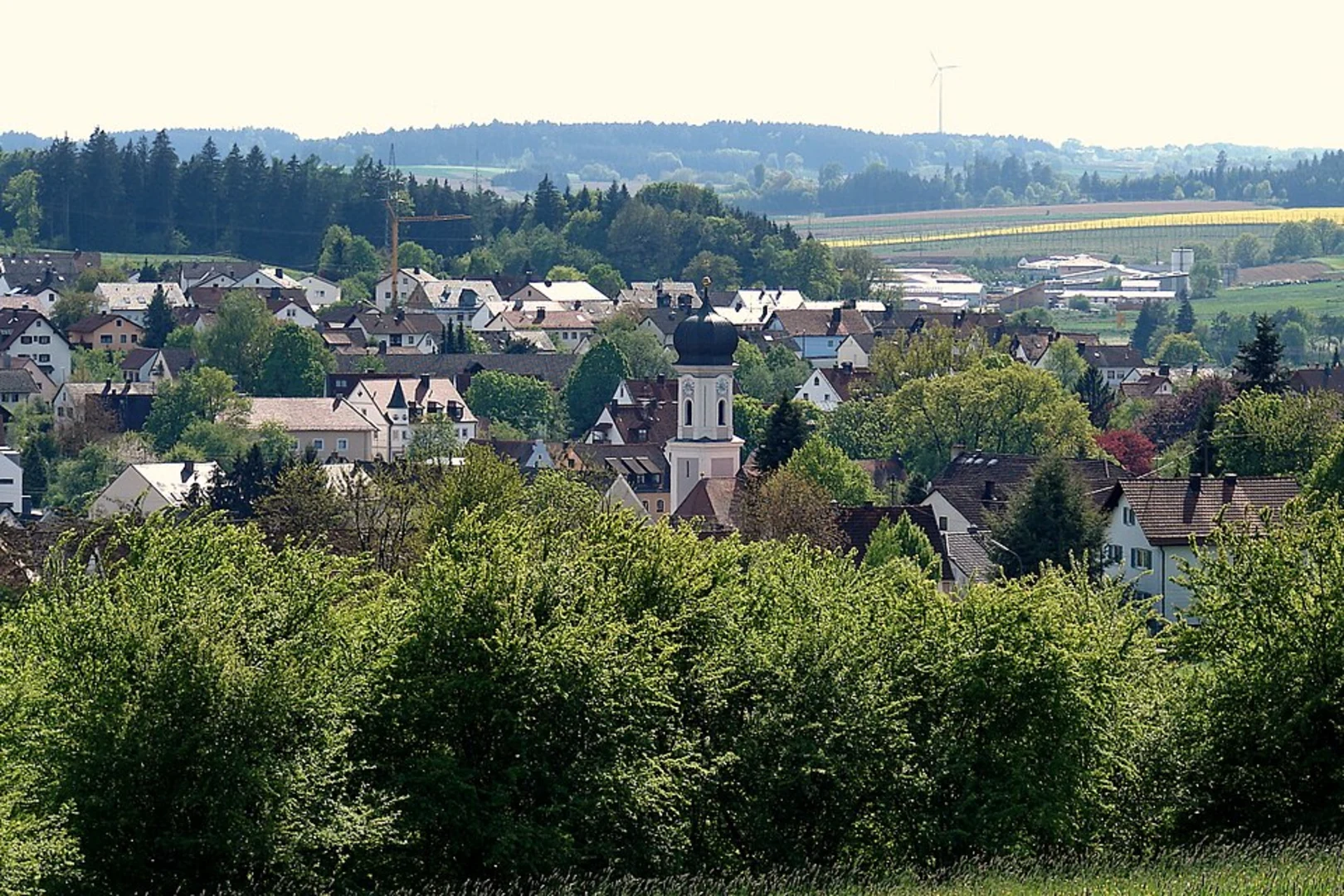 An image depicting the trail Holledau Loop and its surrounding area.