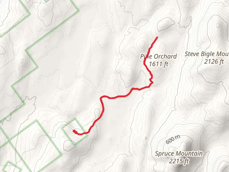 Pine Orchard Trail