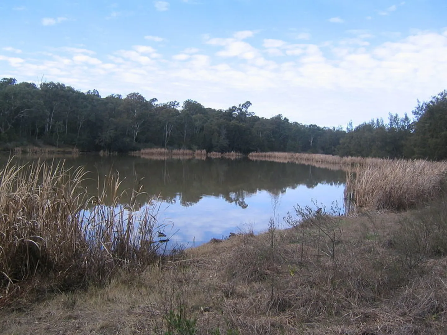 An image depicting the trail Longneck Lagoon Track and its surrounding area.
