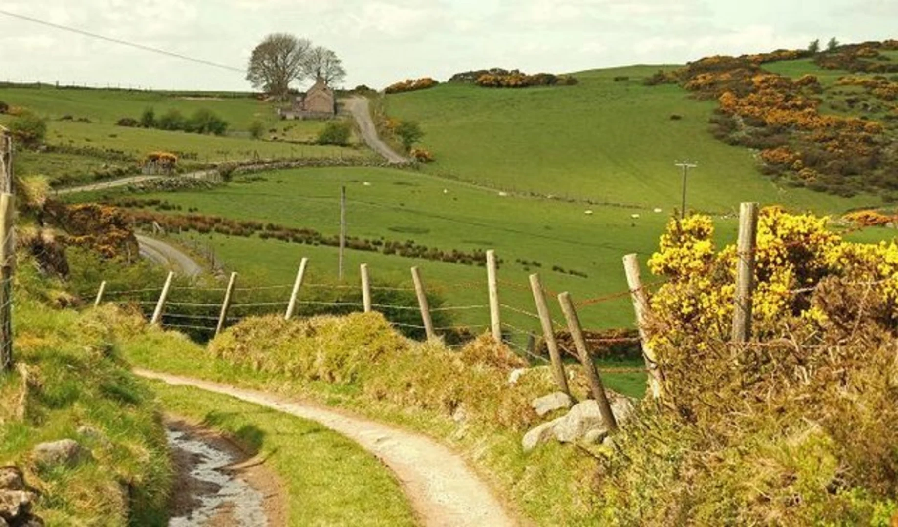 An image depicting the trail Windy Gap Pad and its surrounding area.