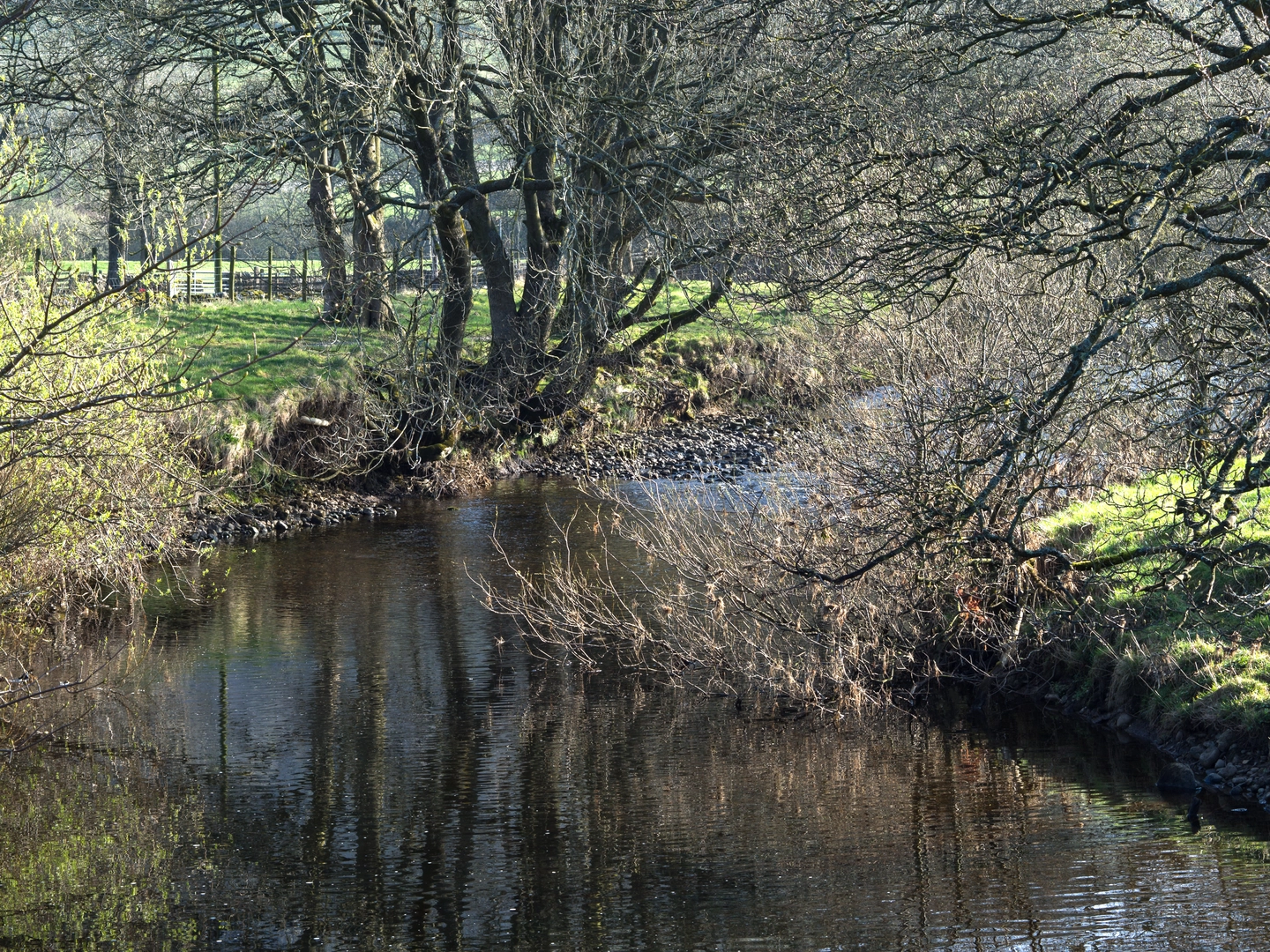 An image depicting the trail Lady Anne's Way and its surrounding area.