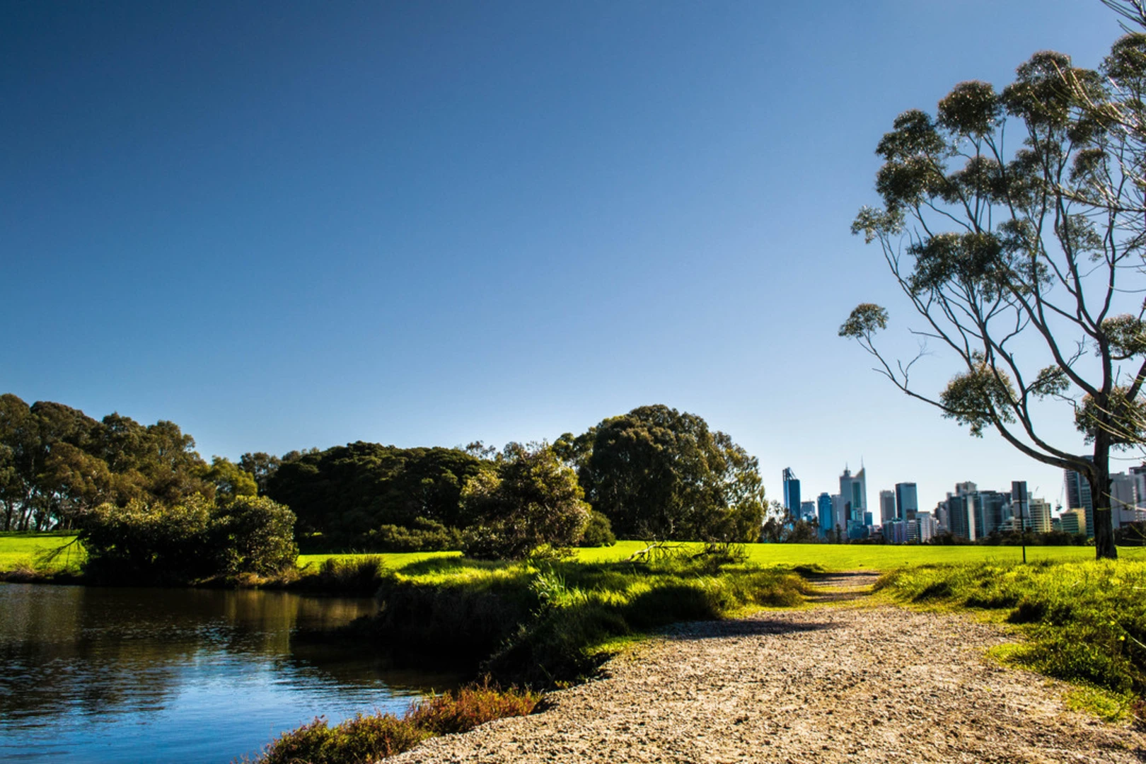 An image depicting the trail Swan River Loop and its surrounding area.