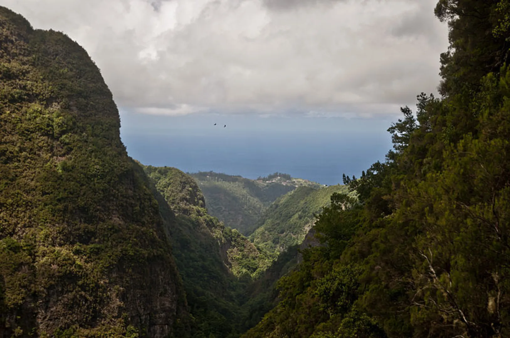An image depicting the trail PR 9 Levada do Caldeirão Verde and its surrounding area.