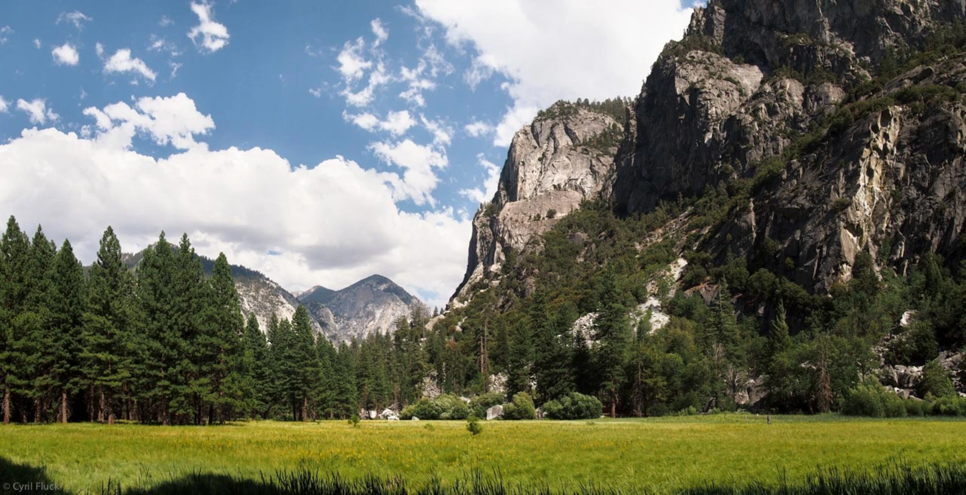 An image depicting the trail Zumwalt Meadow, Kanawyer and Paradise Valley Loop Trail and its surrounding area.