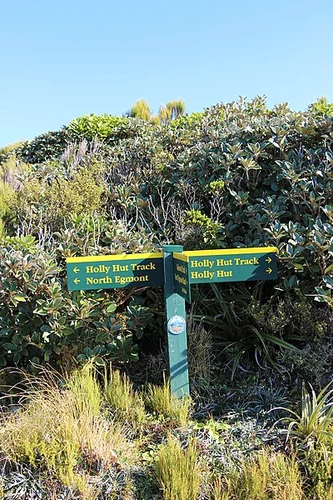 Holly Hut Track