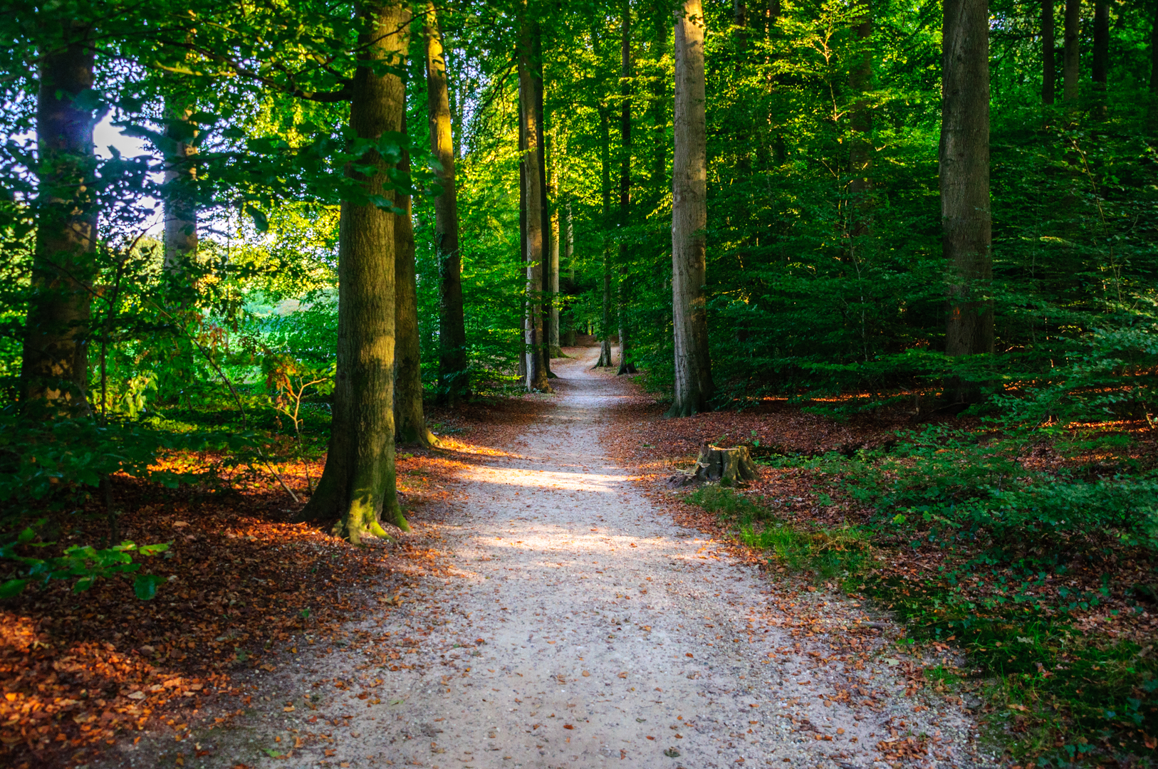 An image depicting the trail Groot Warnssborn to Grafheuvels via Lichtenbeek and Airborne War Cemetery and its surrounding area.