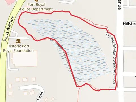 Cypress Wetland walking patch Loop